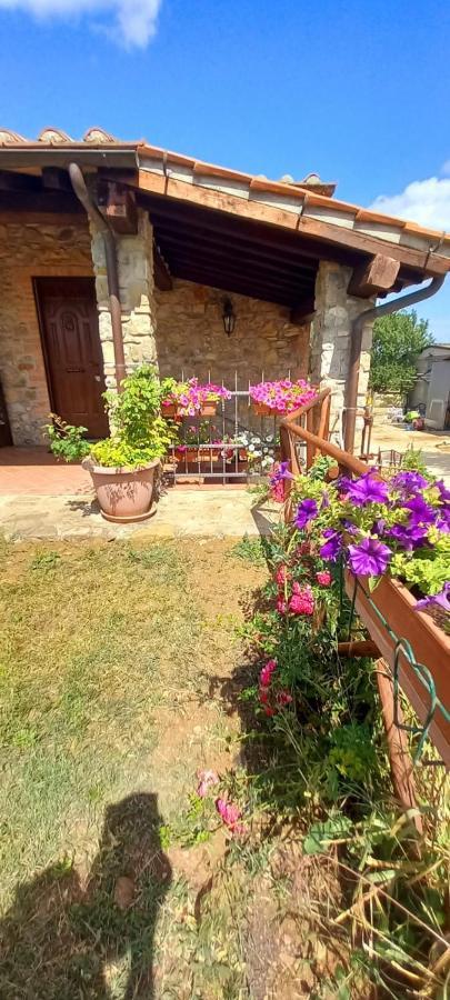 Agriturismo La Casina Saturnia Ngoại thất bức ảnh